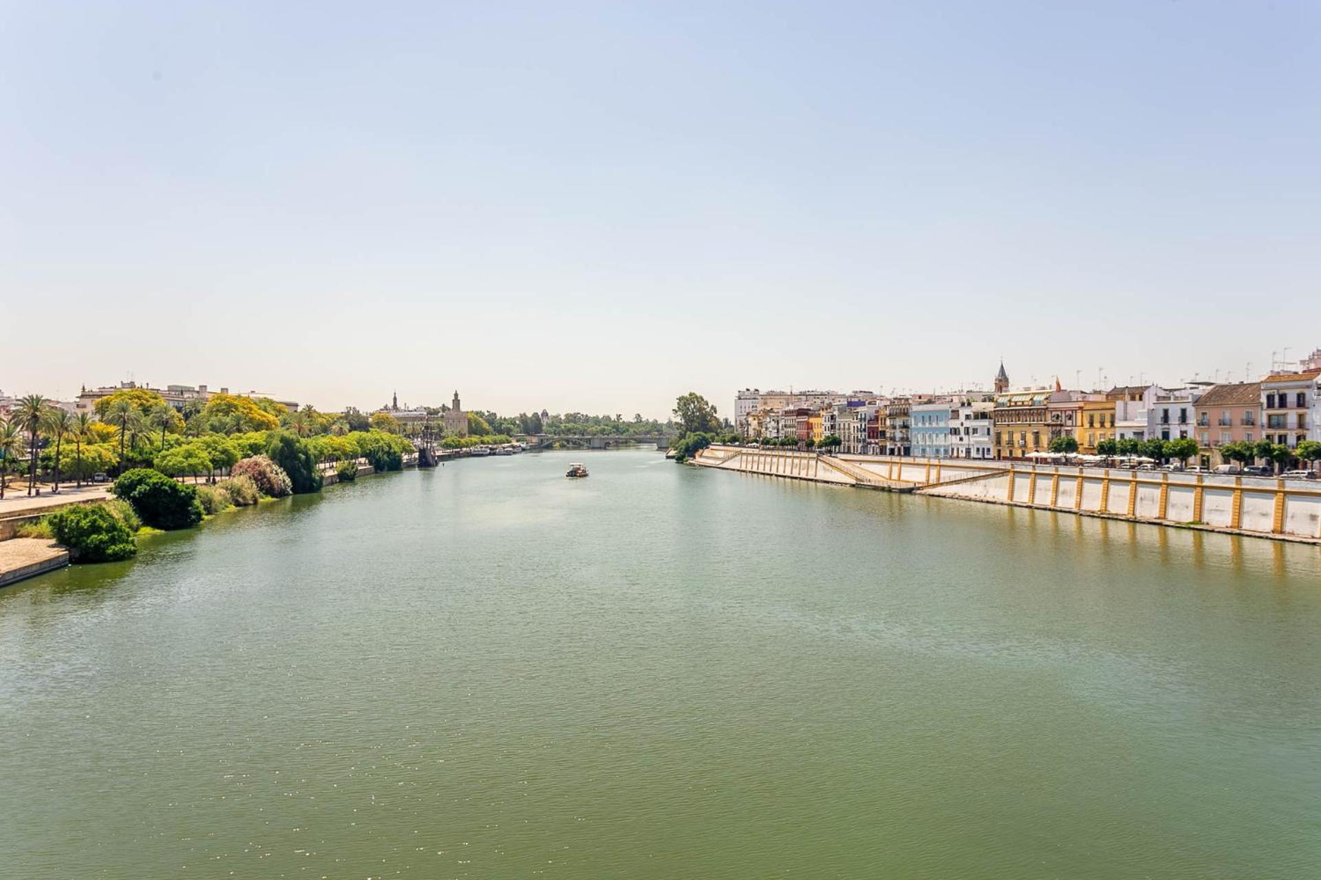 Sunterrace Loft-Triana'S Star, 10' From City Center! Sevilla Eksteriør billede